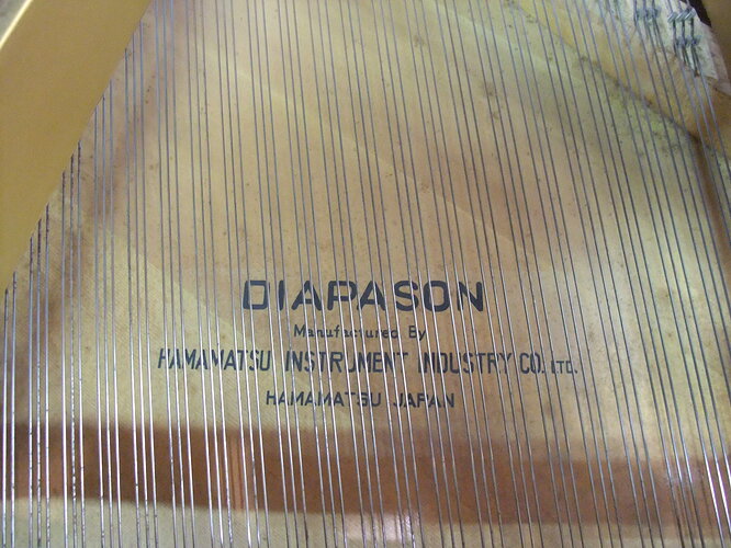 DSCF8973