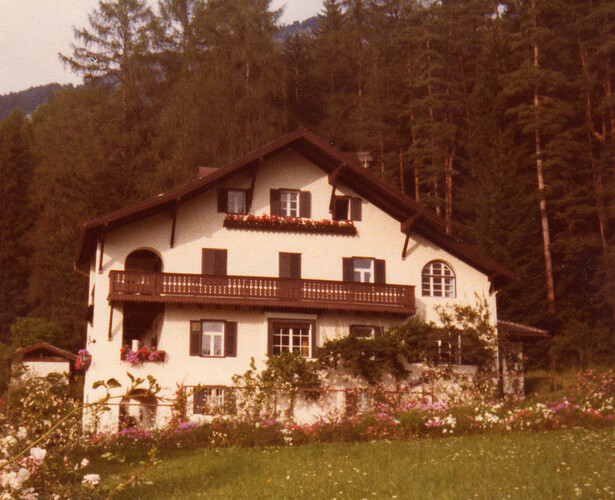 Villa Friedman, SIusi