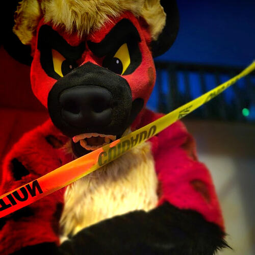 photo_2026-02-11_19-44-52j