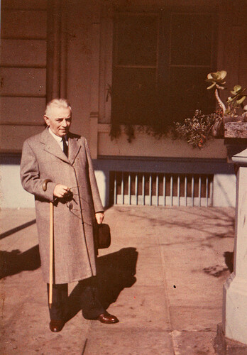 Friedman in color