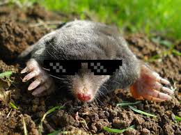 mole